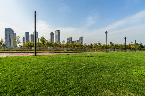 Public Park, City, Cityscape, Flowerbed, Ornamental Garden