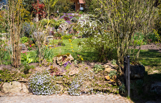istock Beautiful garden in full bloom in May 1291920512