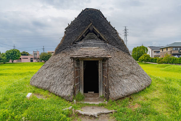 archäologische stätte toro - pit house stock-fotos und bilder