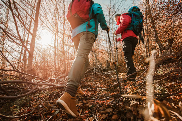 istock Mature Couple Hiking Along Forest Path Together 1291922500
