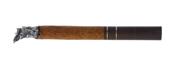 istock Burning cigarette isolated on white background close up 1291927078