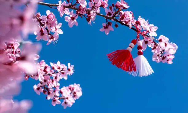 Banner Spring border or background with pink blossom and Bulgarian symbol of spring - martenitsa. Beautiful nature scene with blooming tree and blue sky. Spring flowers apple cherry sakura. copyspace