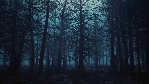 istock 3d render animation of flying through a scary forest 1291929276