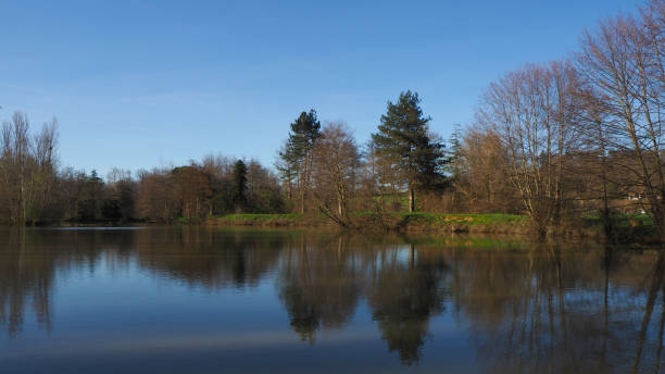 istock A delightful Gers landscape, on the edge of a pond 1291931815