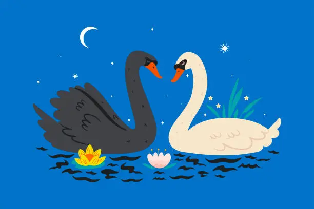 Vector illustration of Postcard with swans on the pond. Vector graphics.