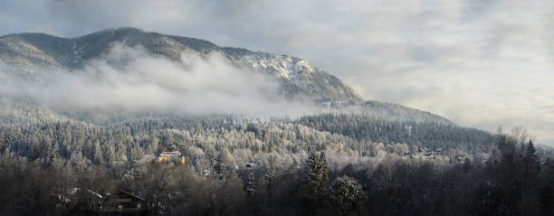 istock Luxurious houses in snow-covered wintery landscape 1291932592