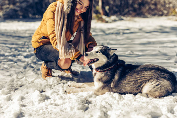 istock Smiling woman cuddling her Husky dog 1291936593