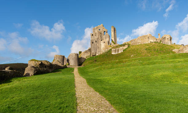 Main cobblestone path leading up to Corfe Castle on a sunny day with bright green grass and no people. Corfe Castle, Wareham, Dorset, England.