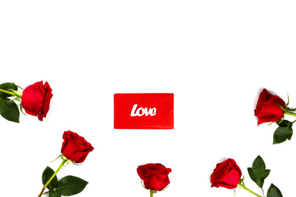 istock Red fresh roses isolated on white background. Traditional holiday gift. 1291938762