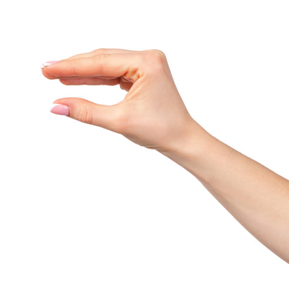 istock Female hand holding something isolated on white background 1291942204