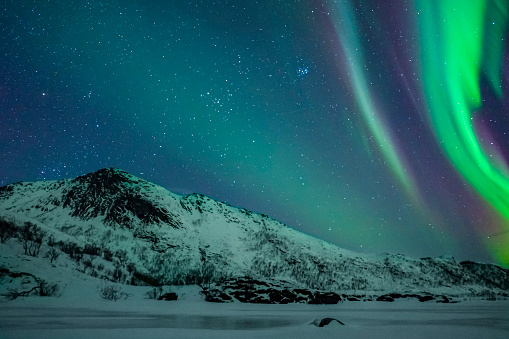 Northern Lights, polar light or Aurora Borealis in the night sky over the Lofoten islands in Northern Norway. Clear beam raising up behind  the high snow and ice covered peaks in the distance.