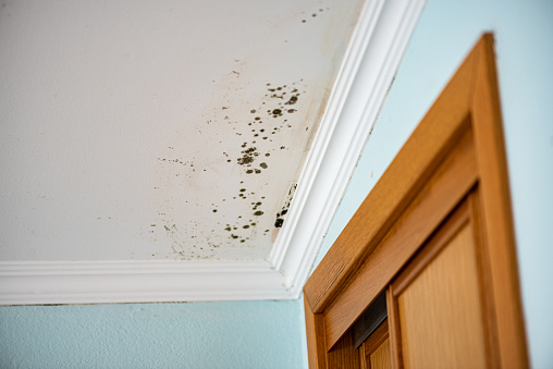 Techo infestado de moho en un dormitorio – peligroso y perjudicial para la salud photo
