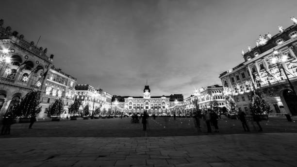 istock The square of Trieste during Christmas time 1291945157