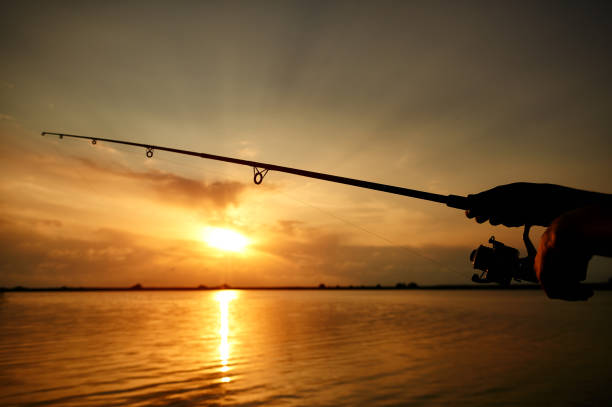 istock Sunrise is the perfect time for swimming 1291954504