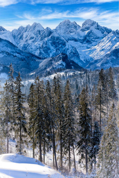 Winter morning view of the High Tatra Mountains. The peaks from the left are Ganek, Wysoka, Rysy