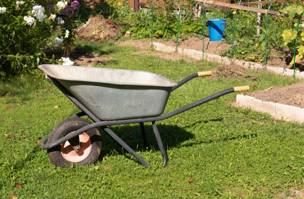 istock empty wheelbarrow in the garden 1291965917