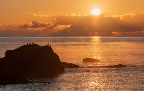 istock view from looe beach at sunrise with birds on a big rock 1291966217