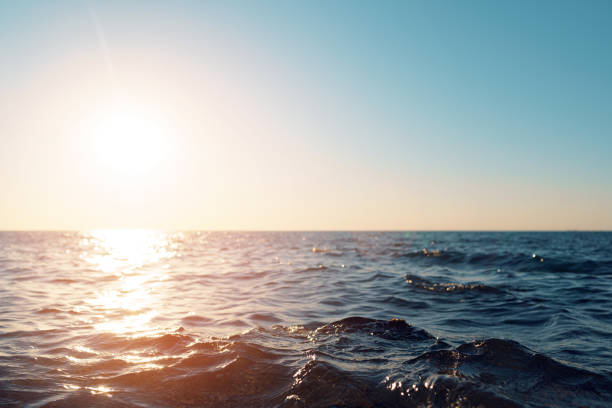 istock Dark blue sea waves on the sunset 1291970002