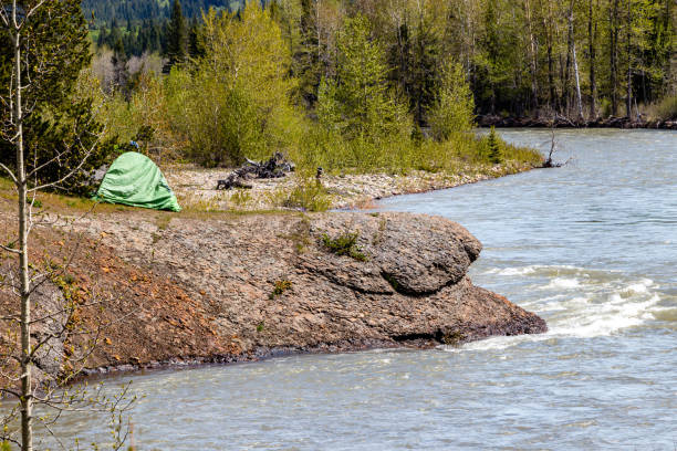 istock Castle River flowing past camp sites. Castle river Bridge PRA, Alberta, Canada 1291971451