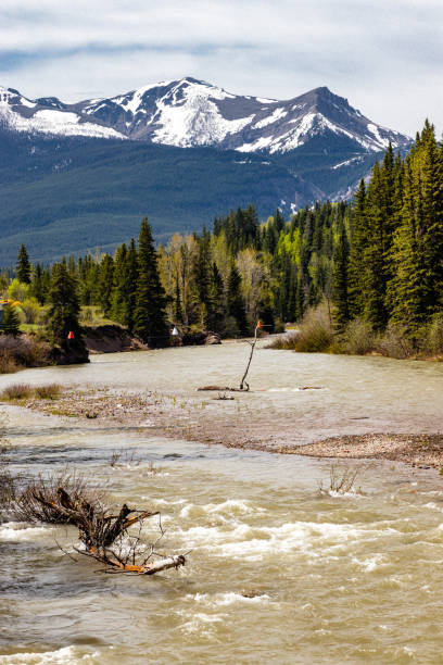 istock Castle River flowing past camp sites. Castle river Bridge PRA, Alberta, Canada 1291971608