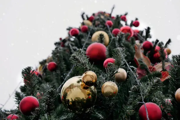 Photo of Christmas tree decorated with red and yellow balls lightly covered with snow outdoors