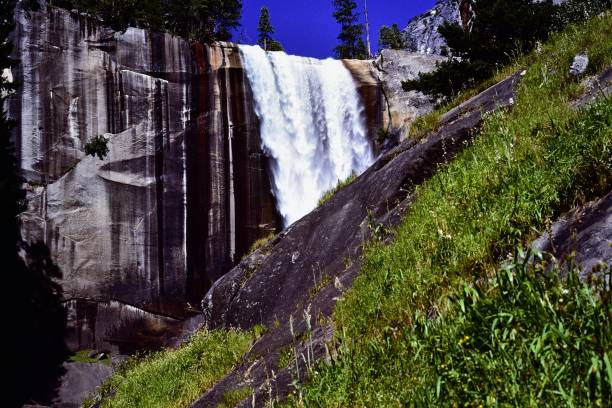 istock Yosemite National Park 1291974746