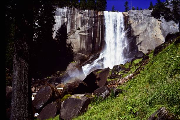 istock Yosemite National Park 1291974755