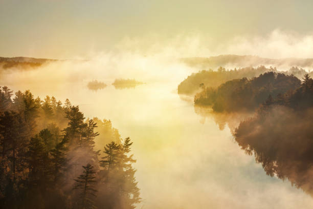 high angle view of misty lake and pine trees at sunrise in the boundary waters of minnesota - boundary waters canoe area imagens e fotografias de stock