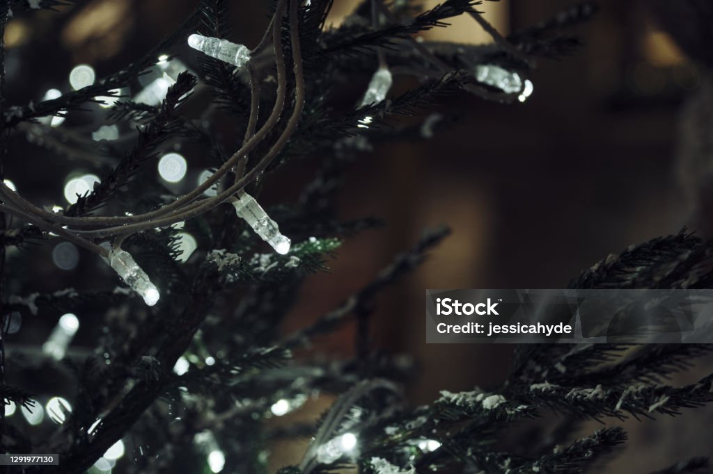 Christmas tree lights detail Decorative led llights on christmas tree Abstract Stock Photo