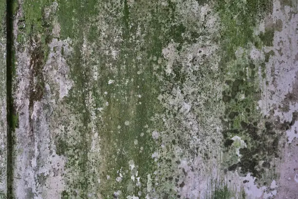 Photo of Old wall grunge texture