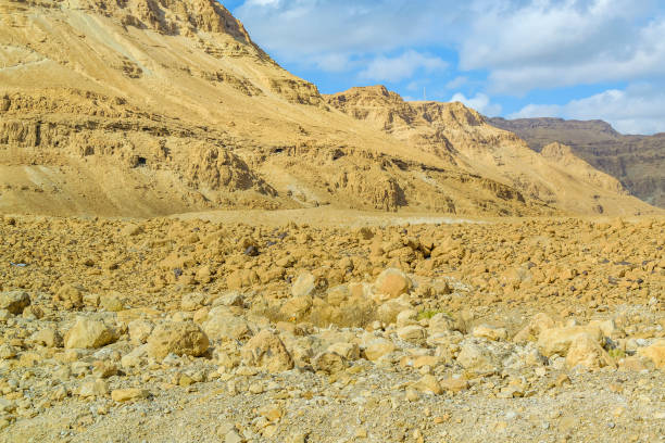 istock Masada National Park, Judea, Israel 1291981373