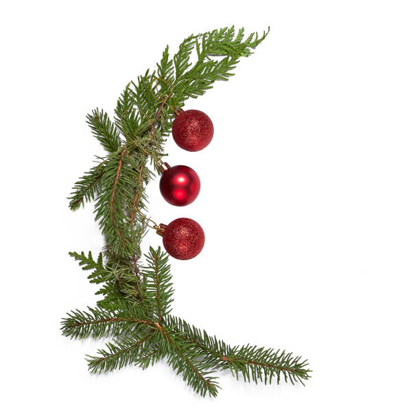 白い背景に隔離されたトウヒ枝のクリスマス赤いボール - pine tree pine cone branch isolated ストックフォトと画像