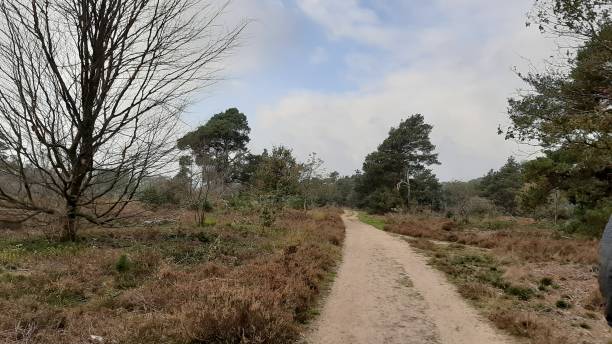 istock Heather area with hiking trail 1291982673
