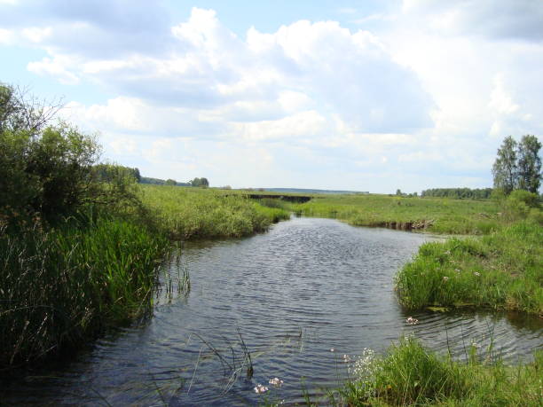 istock Beautiful river in the village in summer with clouds 1291983556