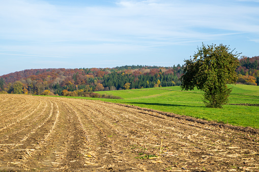 Landscape in autumn on the Swabian Alb