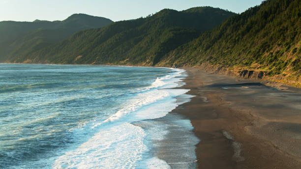 Waves Lapping Beach at Shelter Cove, California - Aerial Aerial view of the black sand beach of Shelter Cove on California's Lost Coast at sunset. pacific coast stock pictures, royalty-free photos & images