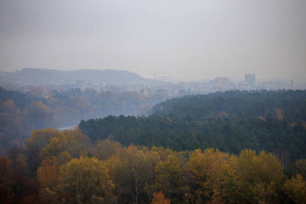 istock Autumn forest landscape with Neris river valley 1291993306