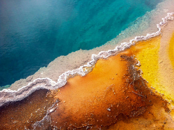 Close up of a thermal feature and its contrasting colors in Yellowstone National Park, MT/WY.  The white line is the hardening minerals that bubble from the deep waters of this volcanic landscape.  The orange are living thermophil that must have high temperatures to thrive.