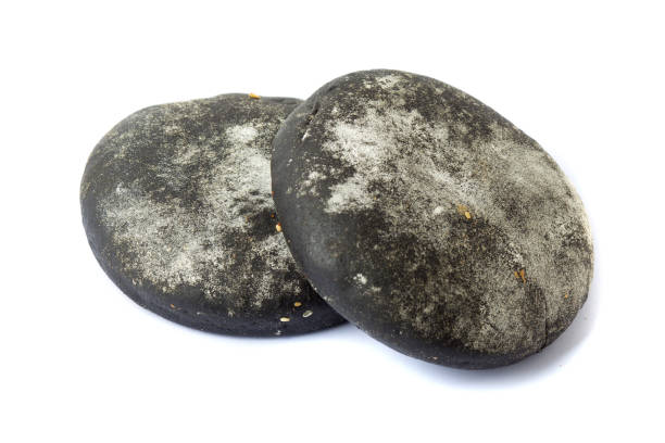 istock black burger buns isolated on white background 1291998412
