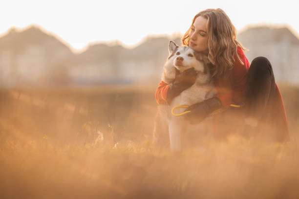 istock A young woman and her husky at sunset 1291998520