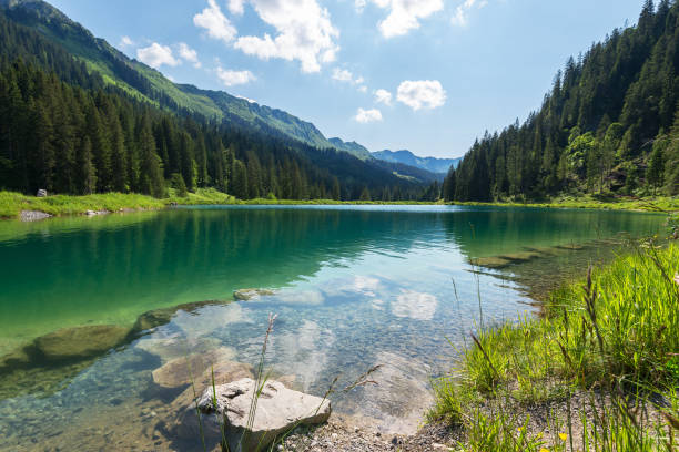 lago heart nella valle di kleinwalser nelle alpi europee, austria - vorarlberg foto e immagini stock