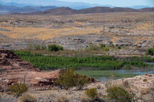 Lake Mead with Green Nevada