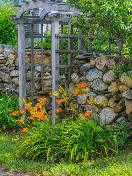 istock Day Lilies around the Trellis 1292003200