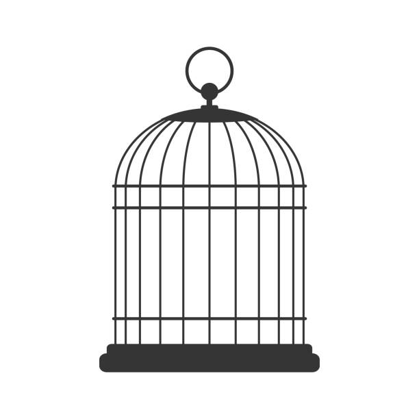 vogelkäfig, vektor-illustration - birdcage stock-grafiken, -clipart, -cartoons und -symbole