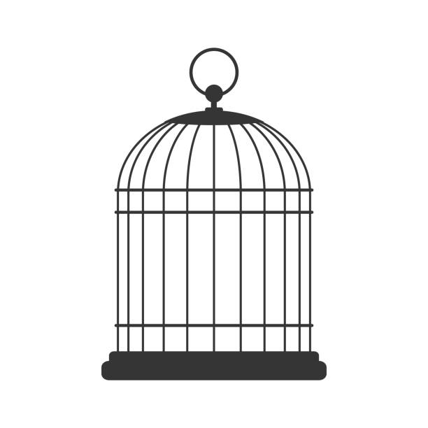 klatka dla ptaków, ilustracja wektorowa - birdcage stock illustrations