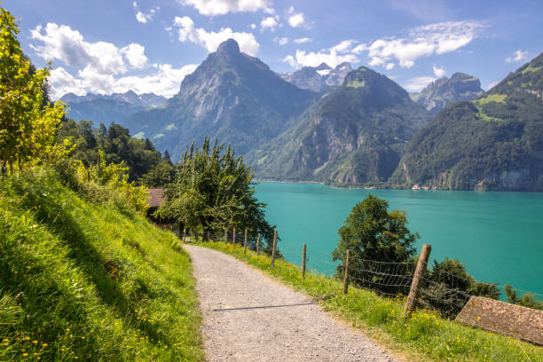 istock Uri Lake in Switzerland 1292006608