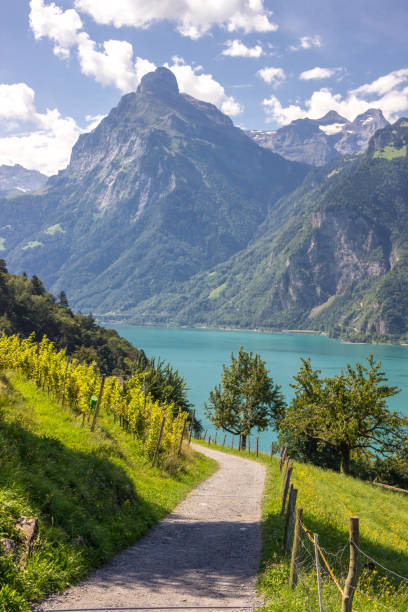 istock Uri Lake in Switzerland 1292006622