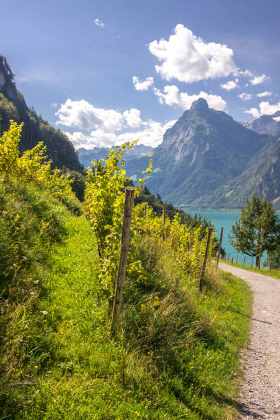 istock Uri Lake in Switzerland 1292006663