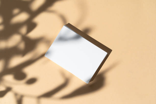 istock Blank white businesscard on beige background with creative floral shadow 1292015219