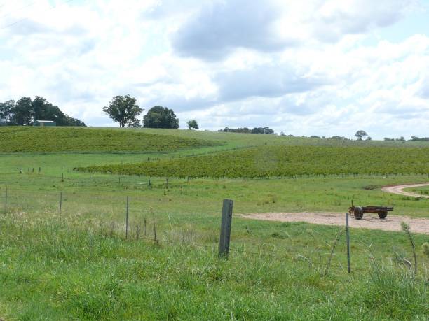 istock Landscape with fences, meadows, vineyards. 1292015846